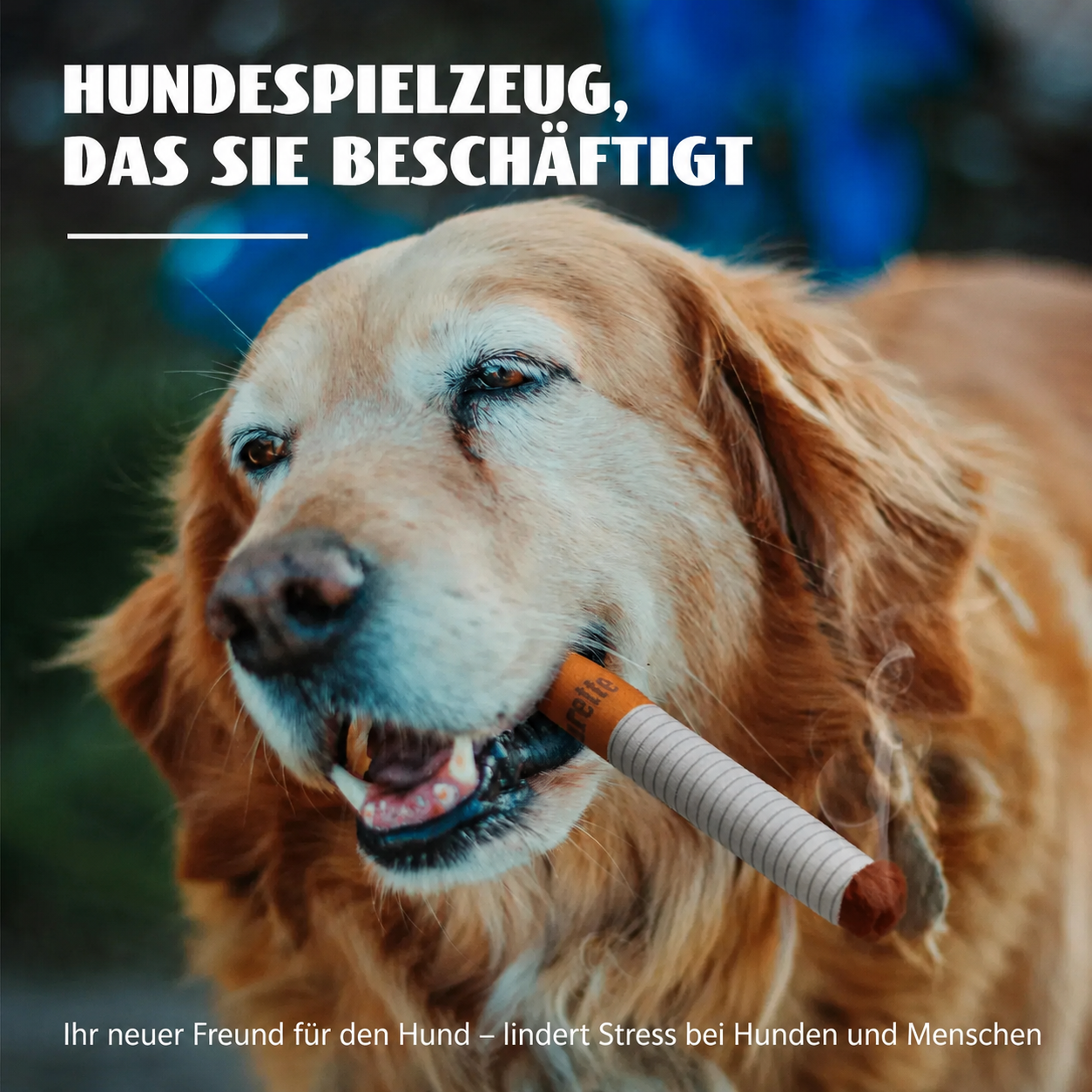 Dogarette - Spielzeug für Hunde & Katzen